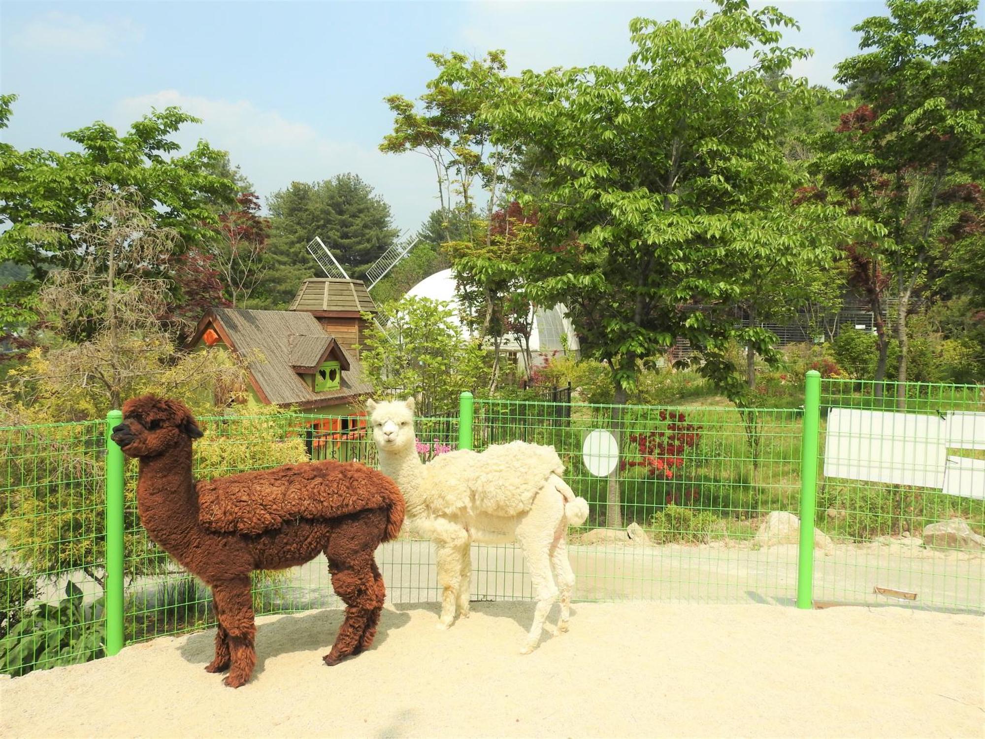 Kensington Resort Gapyeong Luaran gambar