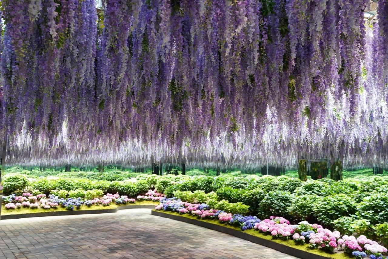 Kensington Resort Gapyeong Luaran gambar