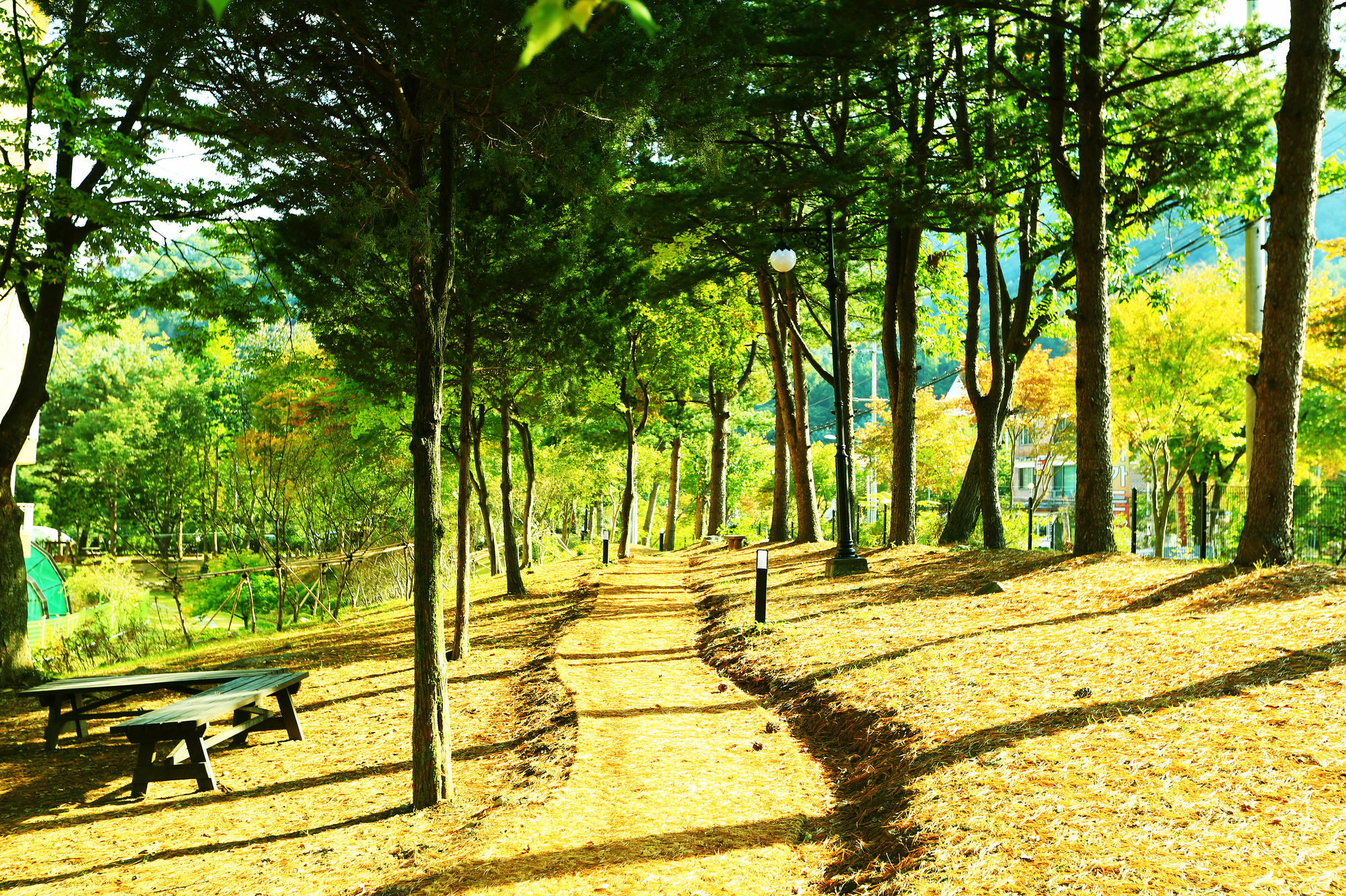 Kensington Resort Gapyeong Luaran gambar
